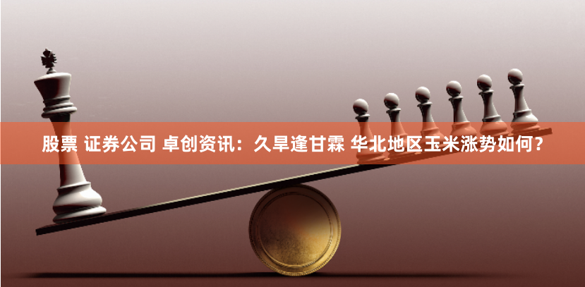 股票 证券公司 卓创资讯：久旱逢甘霖 华北地区玉米涨势如何？