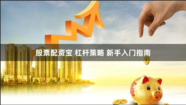 股票配资宝 杠杆策略 新手入门指南