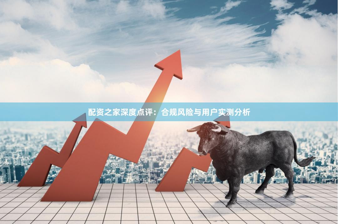 配资之家深度点评：合规风险与用户实测分析